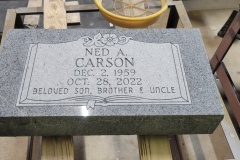 Carson-GA-Grey-scaled